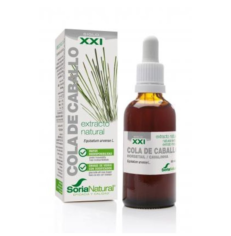 [3181514] Cola de Caballo ext. S.XXI - Soria Natural 