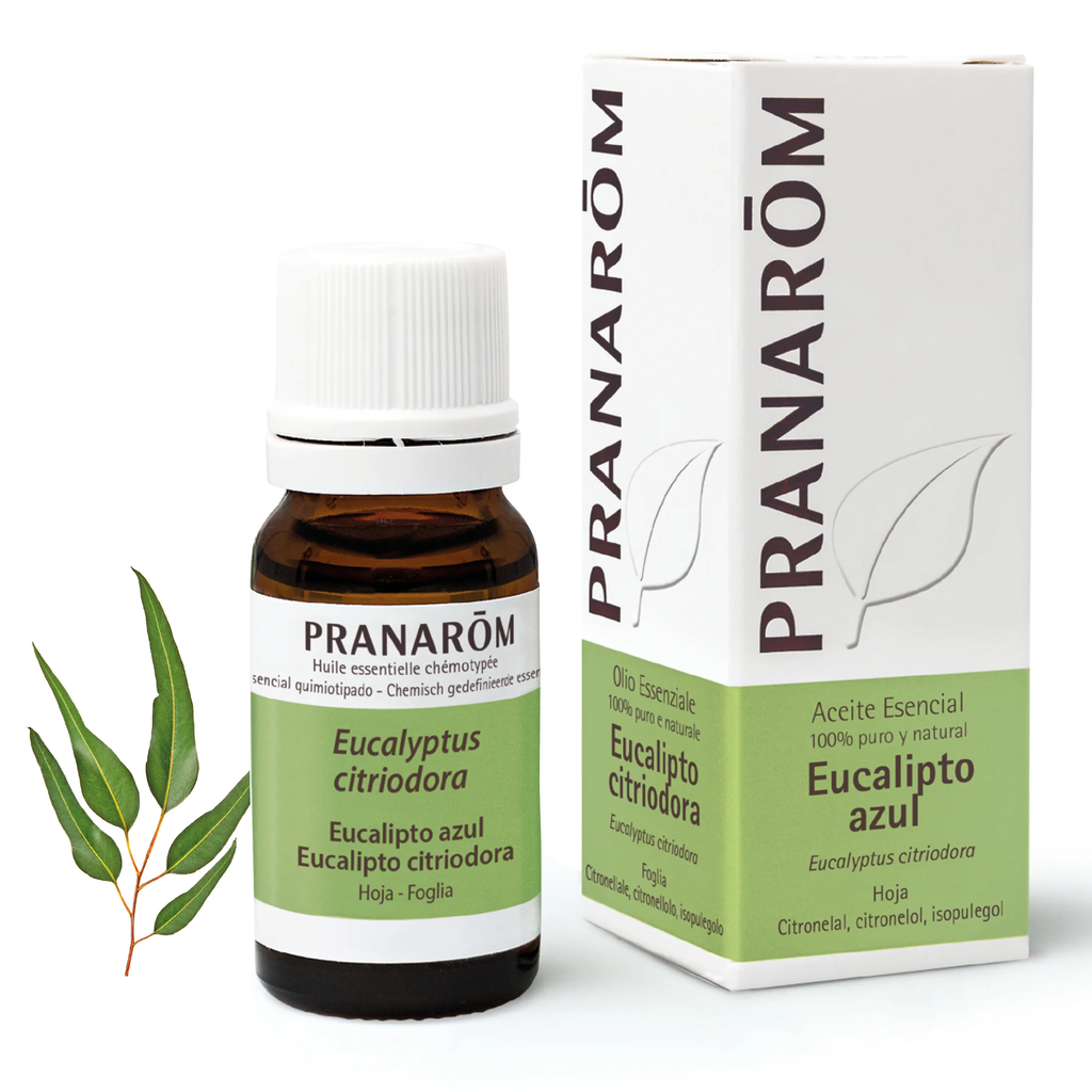 Aceite Esencia Eucalipto azul 10 ml. Pranarom