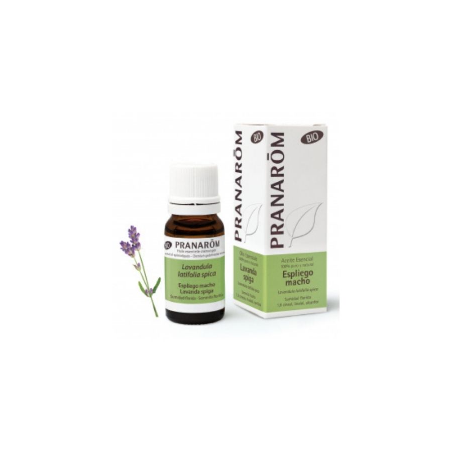 Aceite Esencia espliego macho Pranarom