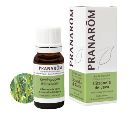 Citronela de Java 10 ml. Pranarom