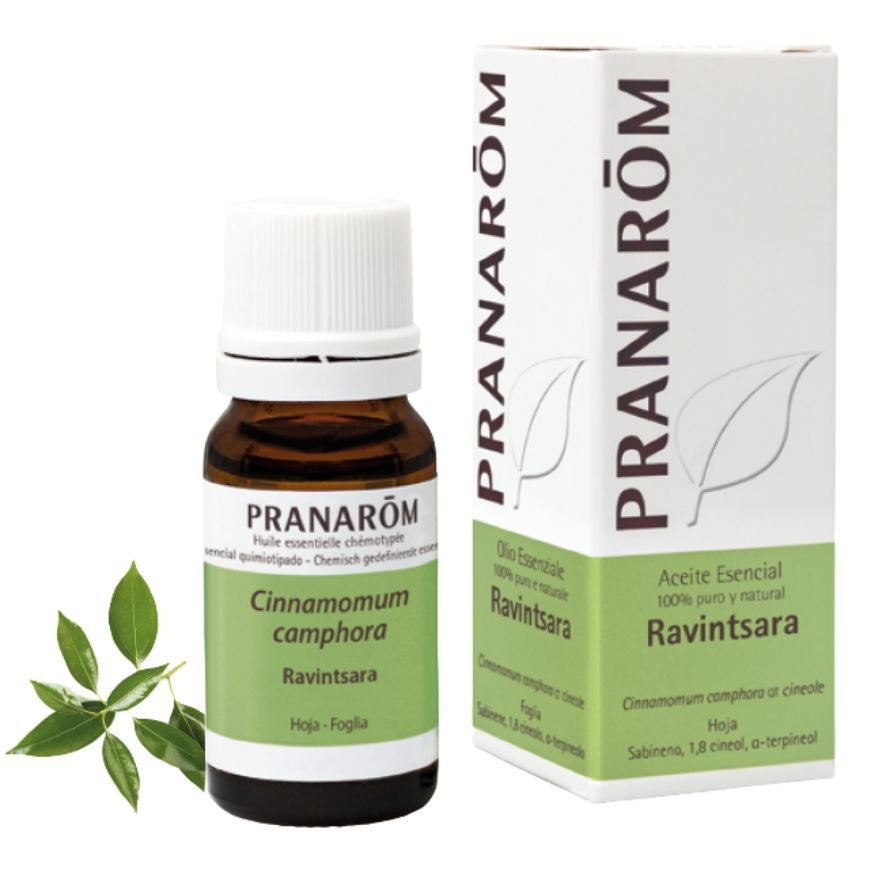Aceite Esencia Ravintsara 10 ml