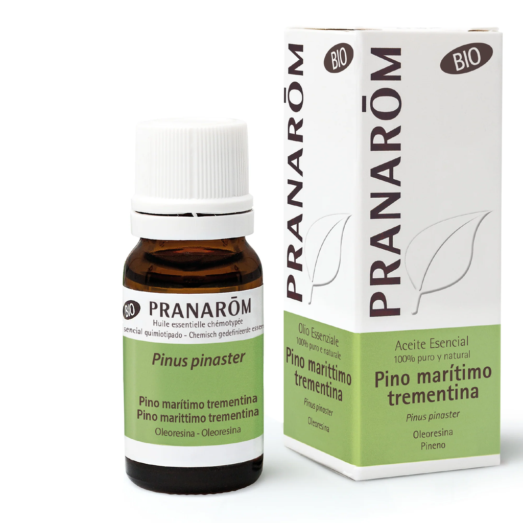 Esencia pino maritimo bio 10 ml - Pranarom  