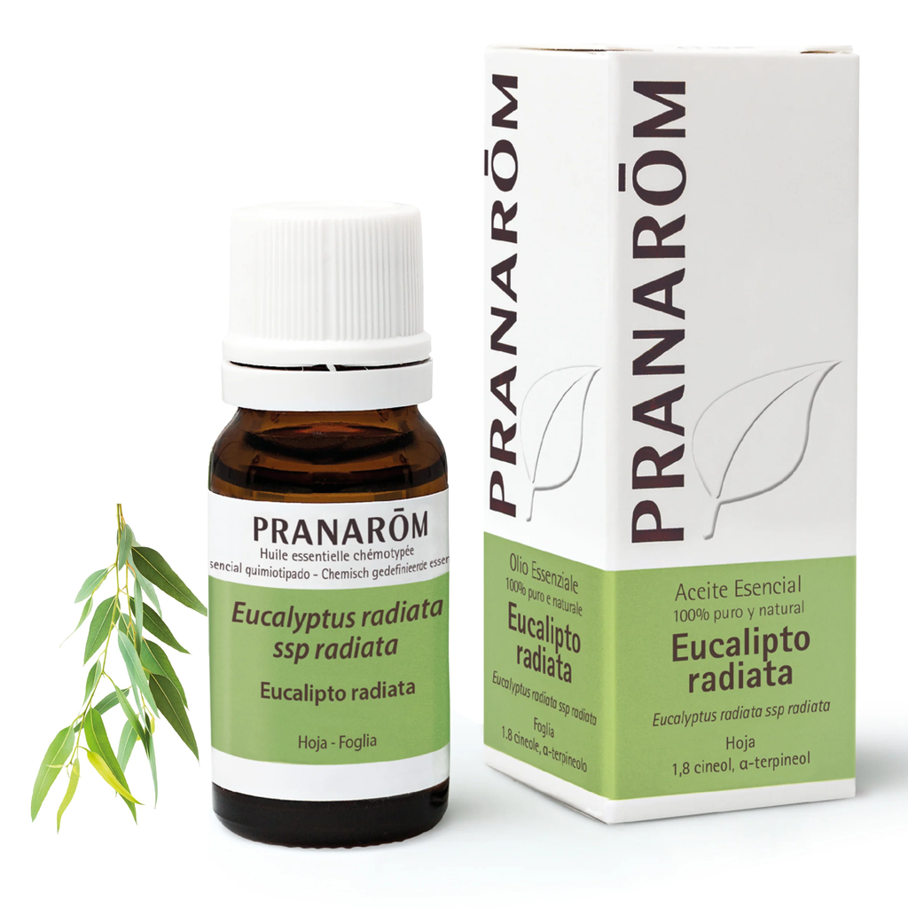 Esencia eucalipto radiata 10 ml - Pranarom  