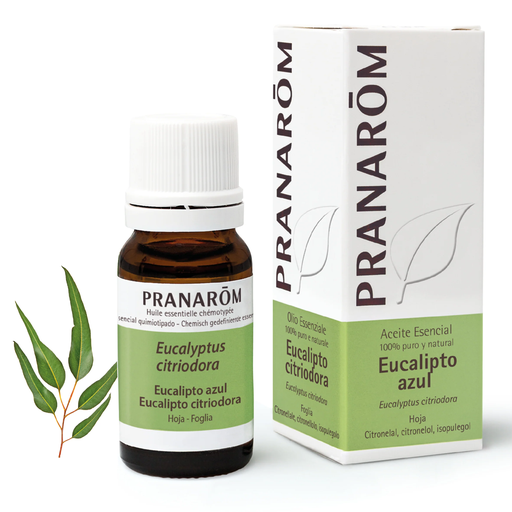 Aceite Esencia Eucalipto azul 10 ml. Pranarom