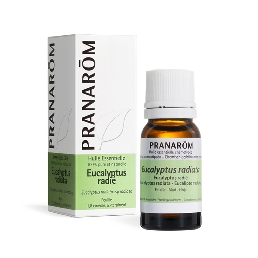 Aceite esencia Eucalipto radiata 10 ml Pranarom